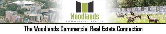 The Woodlands Commercial Real Estate Connection