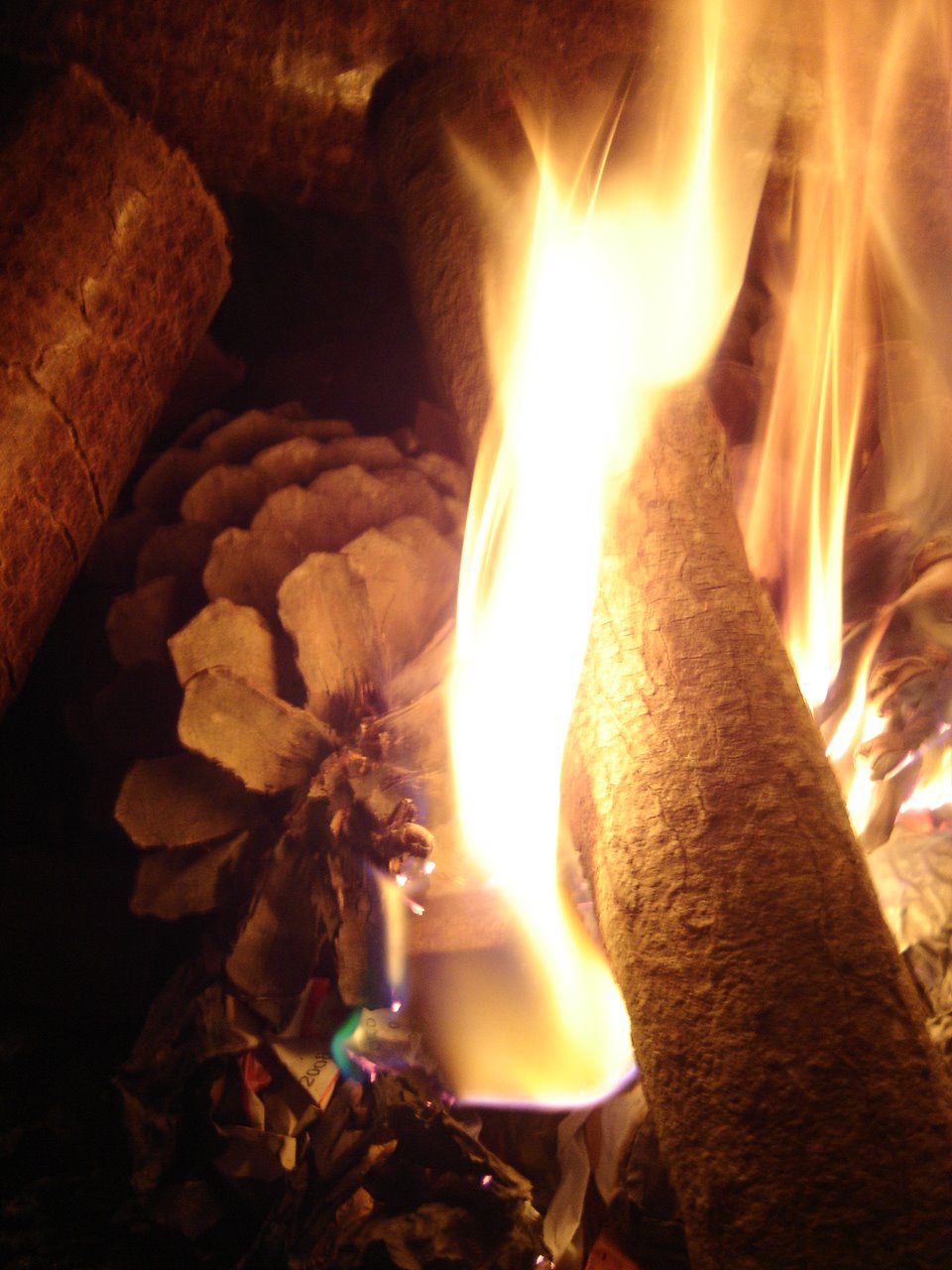 [DSC02470.JPG]