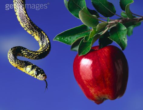 http://4.bp.blogspot.com/_R-eRGwiBW2g/TLXcP__dW8I/AAAAAAAAHxc/EMLEWSxaDsk/s1600/Apple+tree+and+snake.jpg