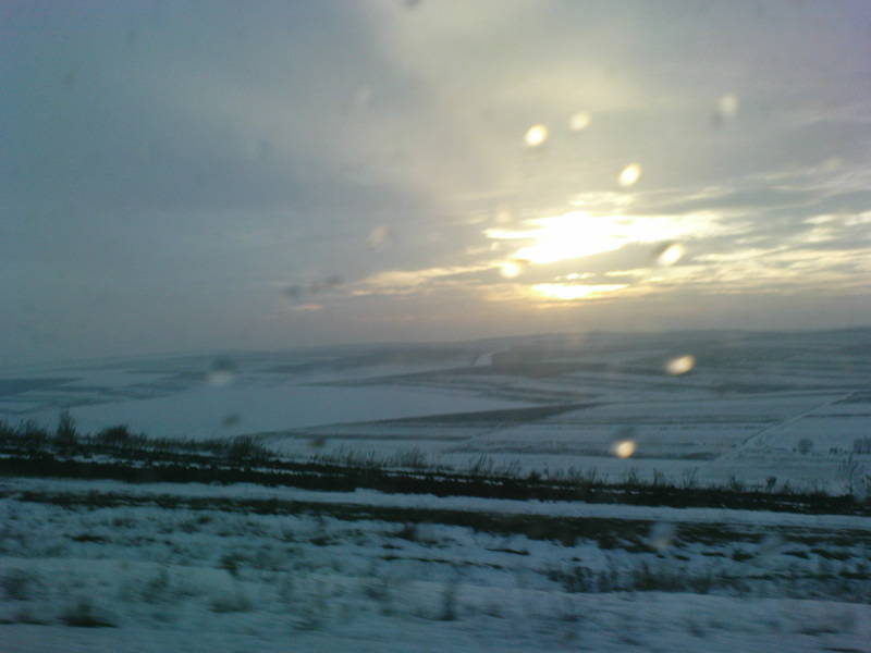 [image-upload-406-701178.jpg]