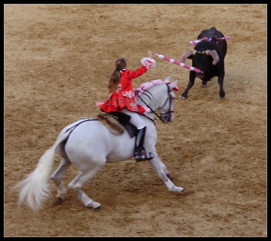 [Image73.jpg]