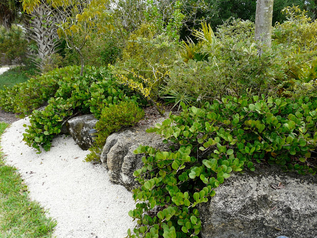 florida native plant society
