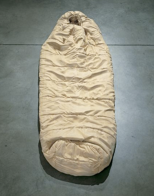 [design-fetish-ricky-swallow-wood-sculptures-2.png]