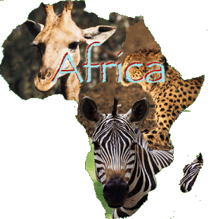 African Elephant African Elephant