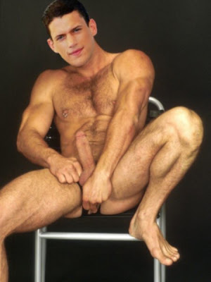 wentworth miller porno sex dildo in her ass feels good