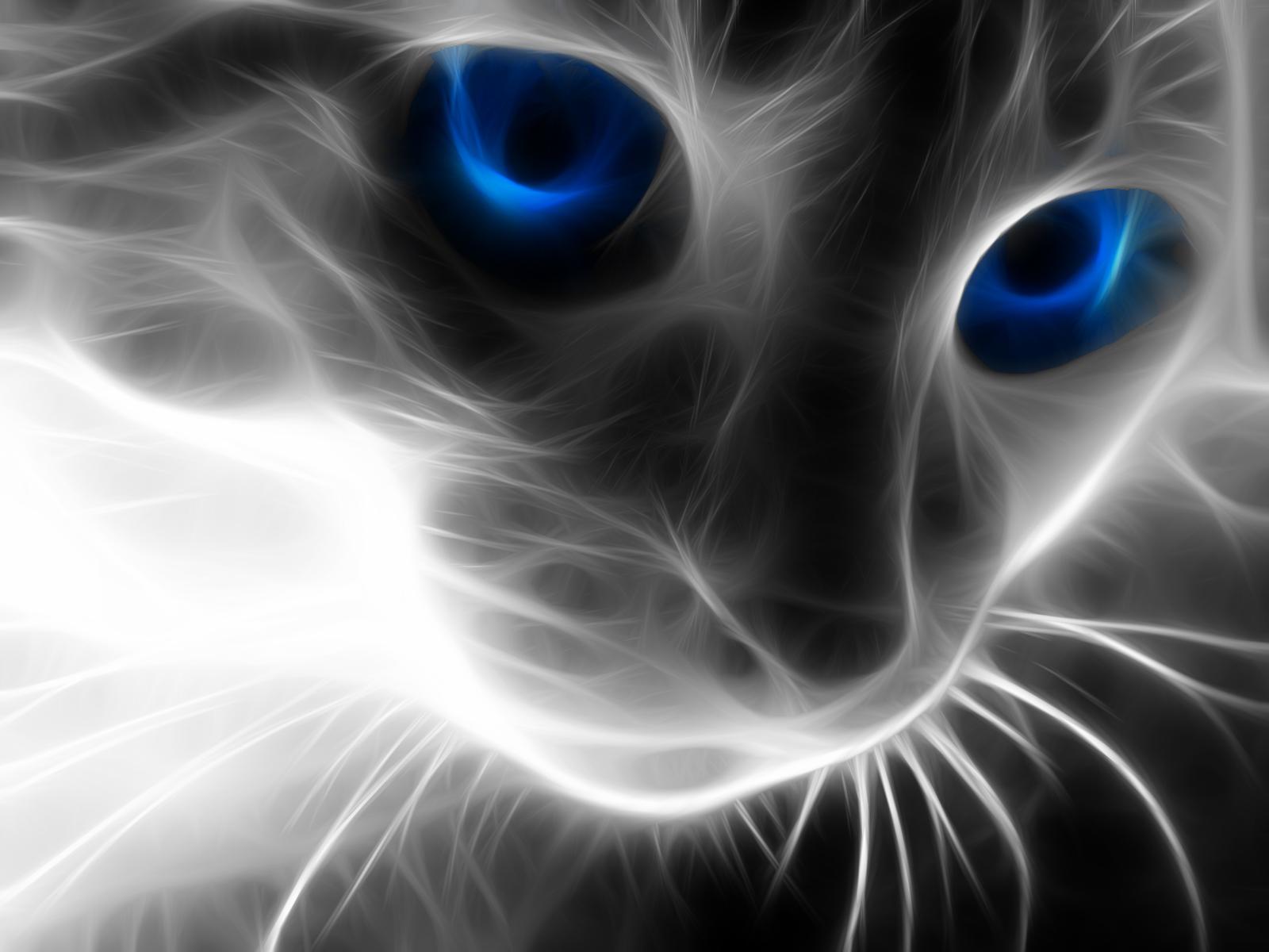 http://4.bp.blogspot.com/_R0i_0FPIChA/TMA3_8OE3jI/AAAAAAAAABs/C55ok_agJV4/s1600/1287662099784.jpg