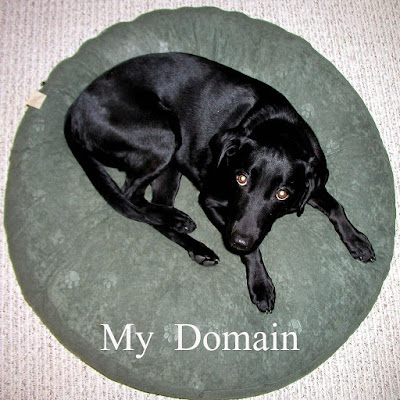 how to choose domain name of your blog by blog tutorial