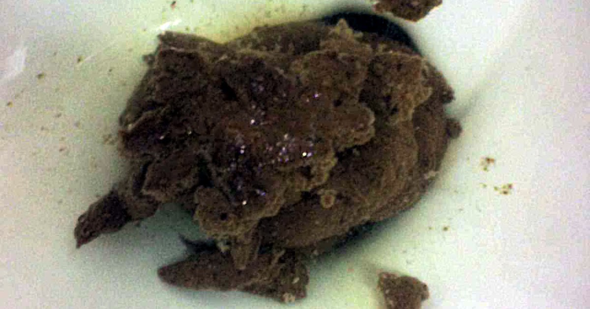 I Poo Daily No poop (actually there is, but read this news story)