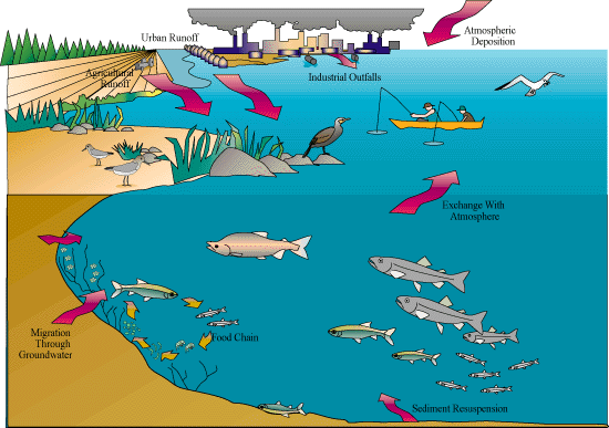 physical and chemical pollutants in brisbanes water Physical pollution sediments (like soil particles) thermal pollution (cold water or warm water) water pollution: change in the chemical, physical and biological. physical and chemical pollutants in brisbanes water Physical pollution sediments (like soil particles) thermal pollution (cold water or warm water) water pollution: change in the chemical, physical and biological.