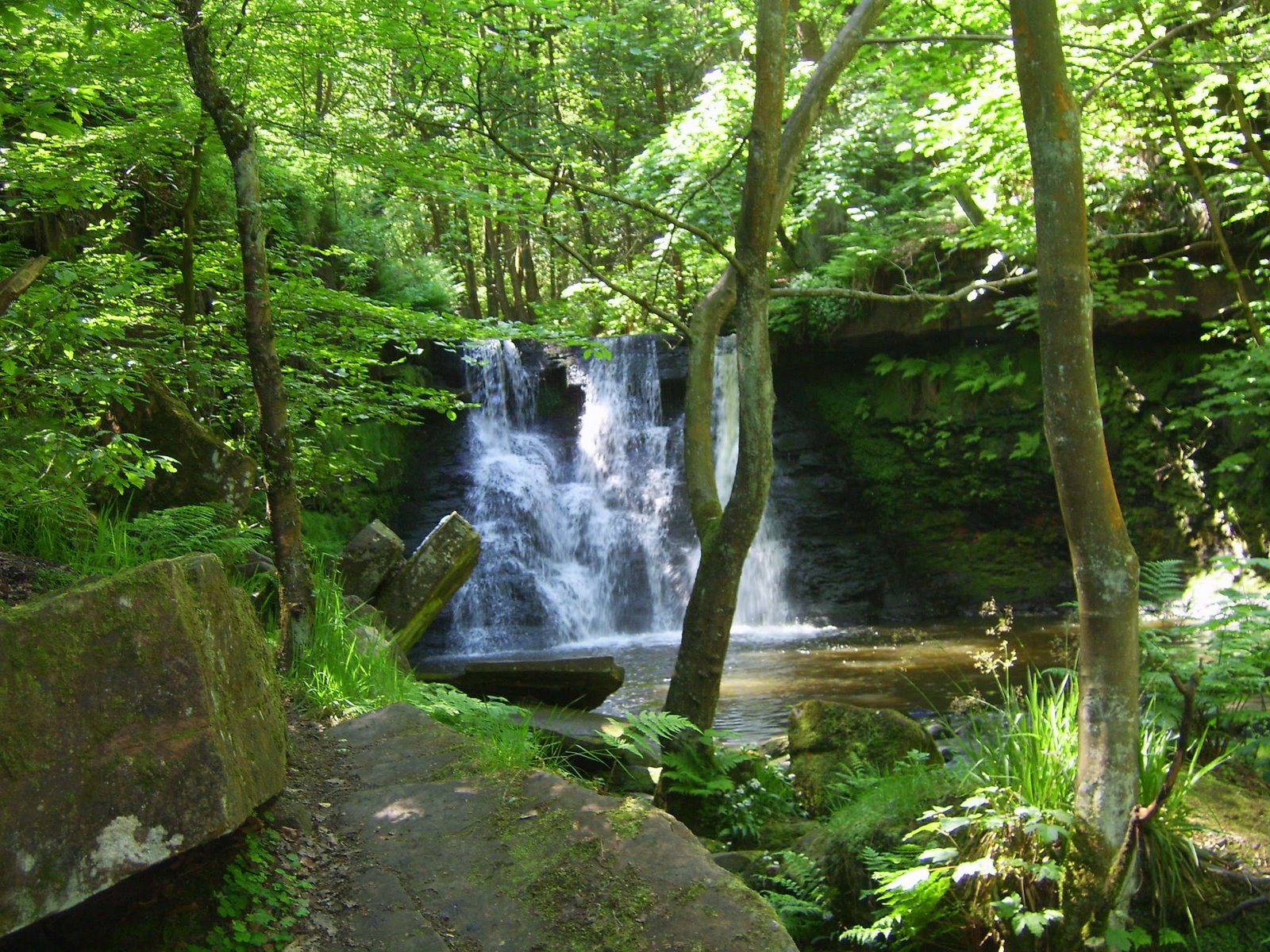[SV103648.JPG]