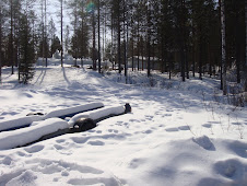White snow