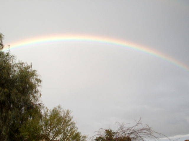 [rainbow.jpg]