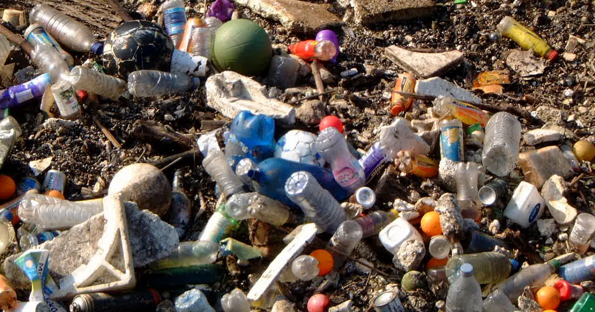 Bits and pieces Rubbish plastic bottles everywhere!