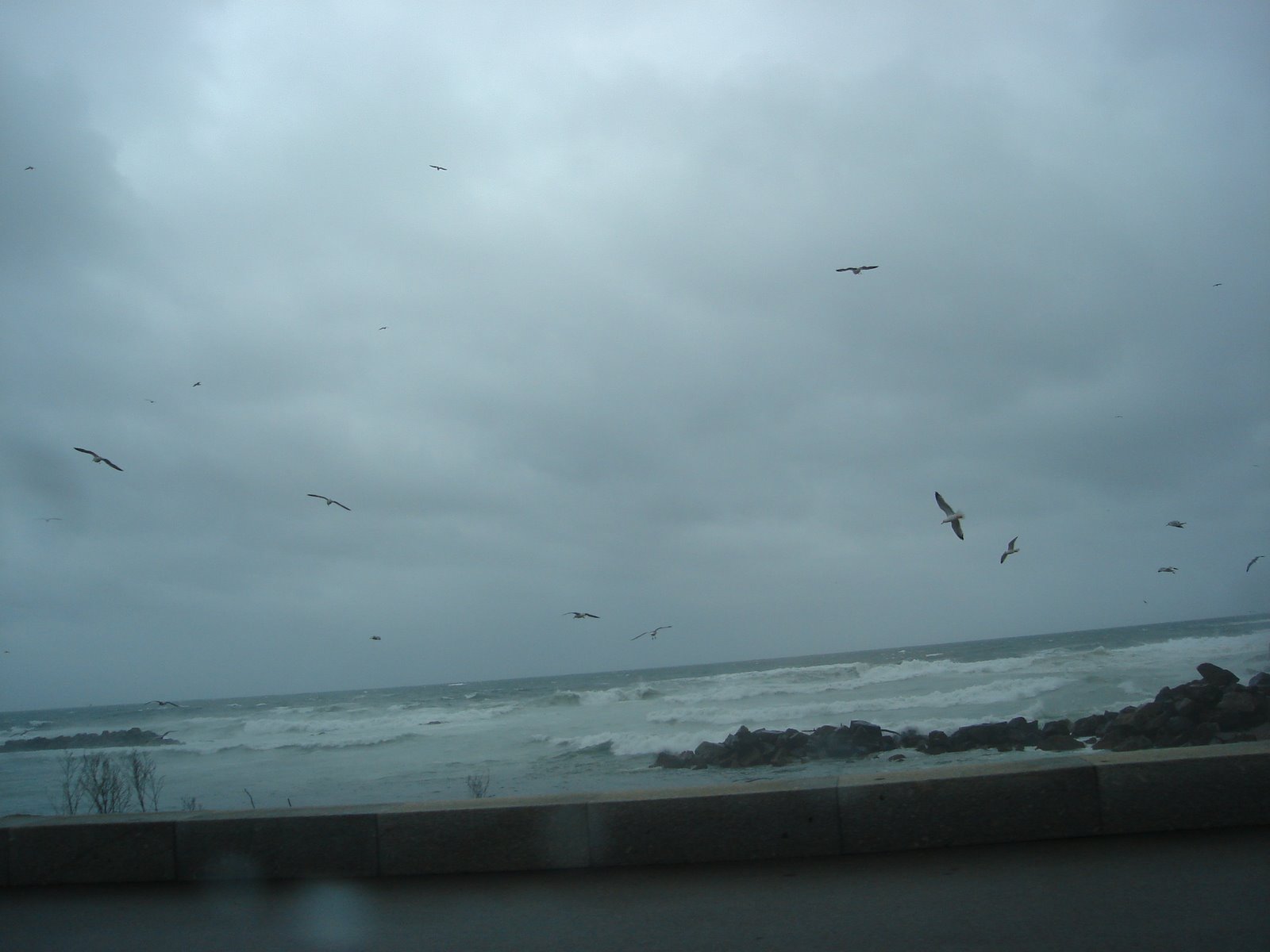 [DSC00506.JPG]