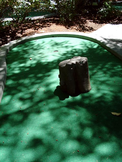 [DSC04694.jpg]