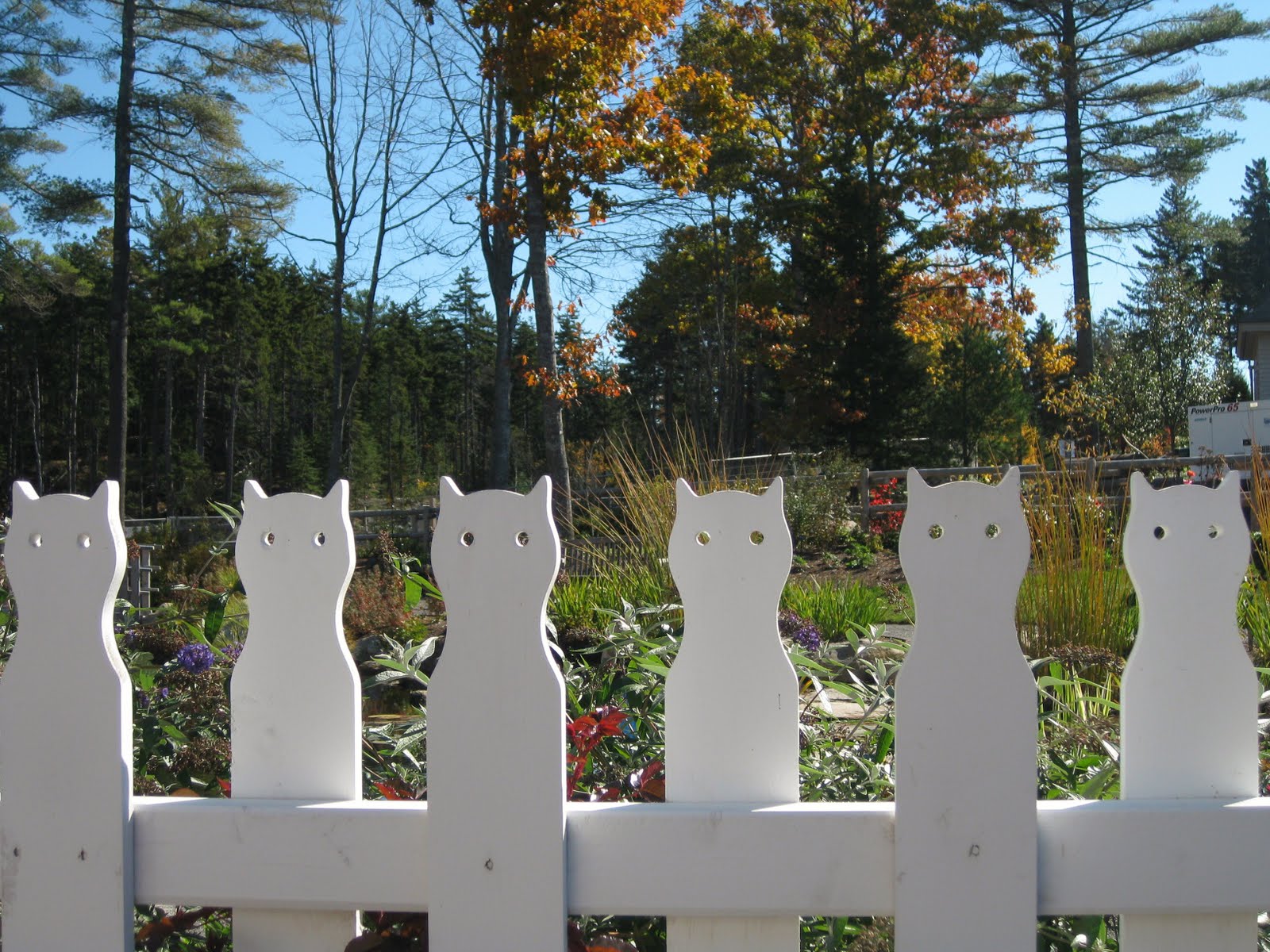 kriofske mix WHITE PICKET KITTY CATS