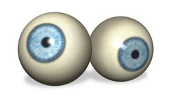 [eyeballs.jpg]