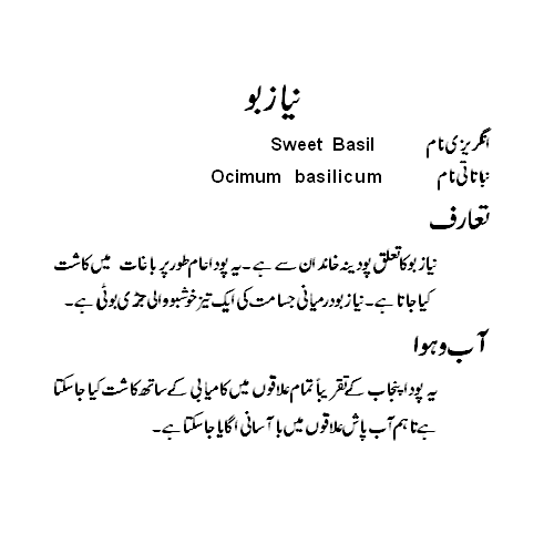 Sacrifice Meaning In Urdu, Niaz نیاز