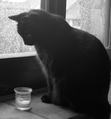 [100383810_5294de4c64.jpg]