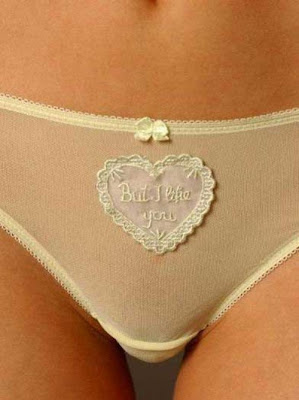 If Sexy Babes Panties Could Talk