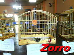 Zorro