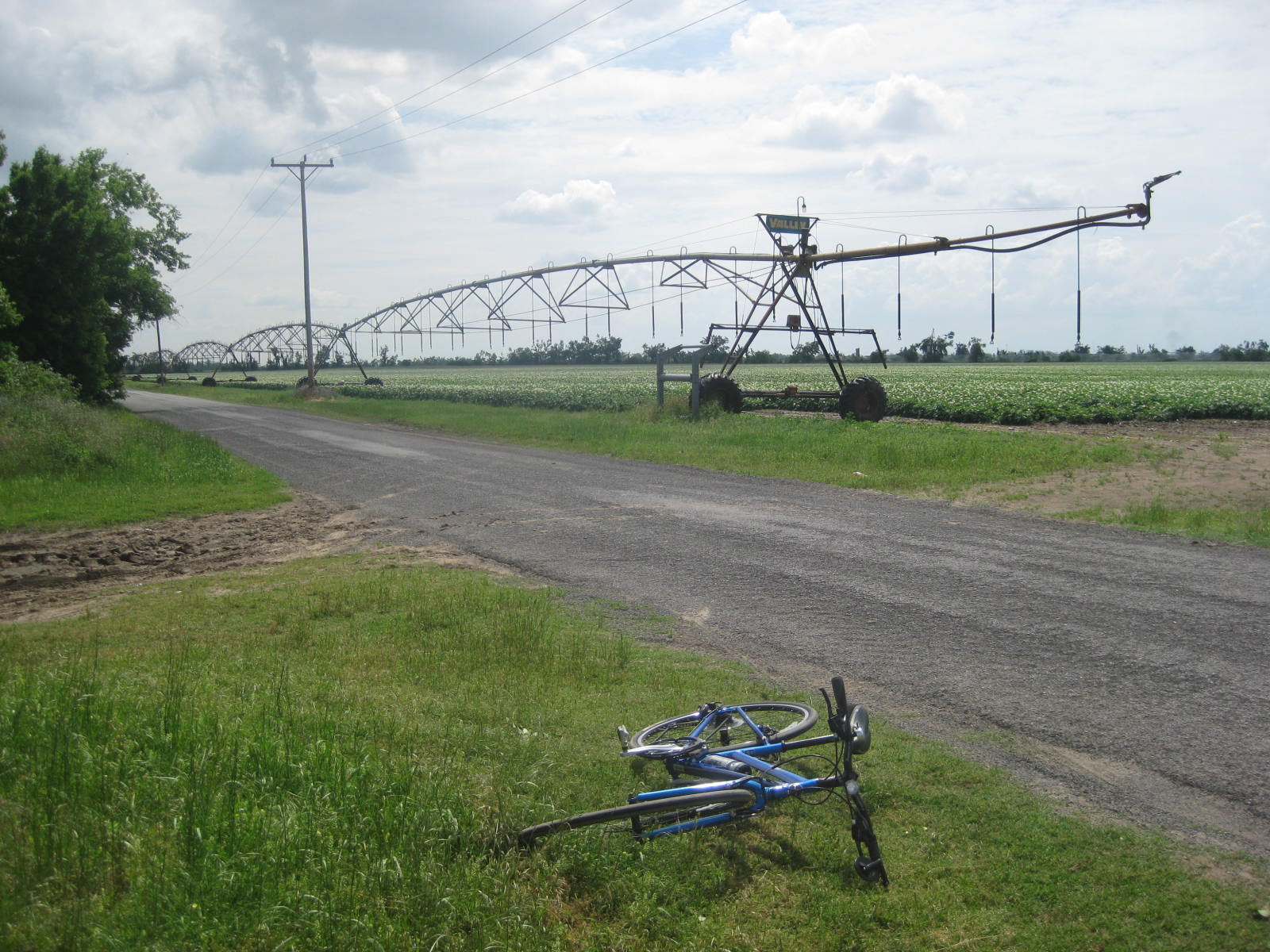 [IMG_7152.JPG]