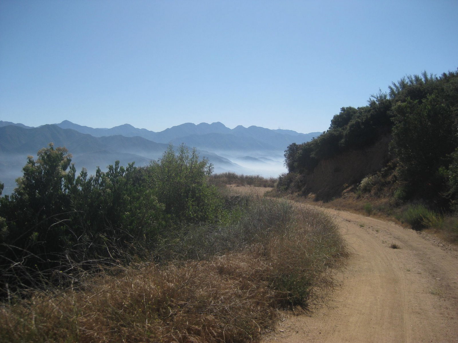 [IMG_1228.JPG]
