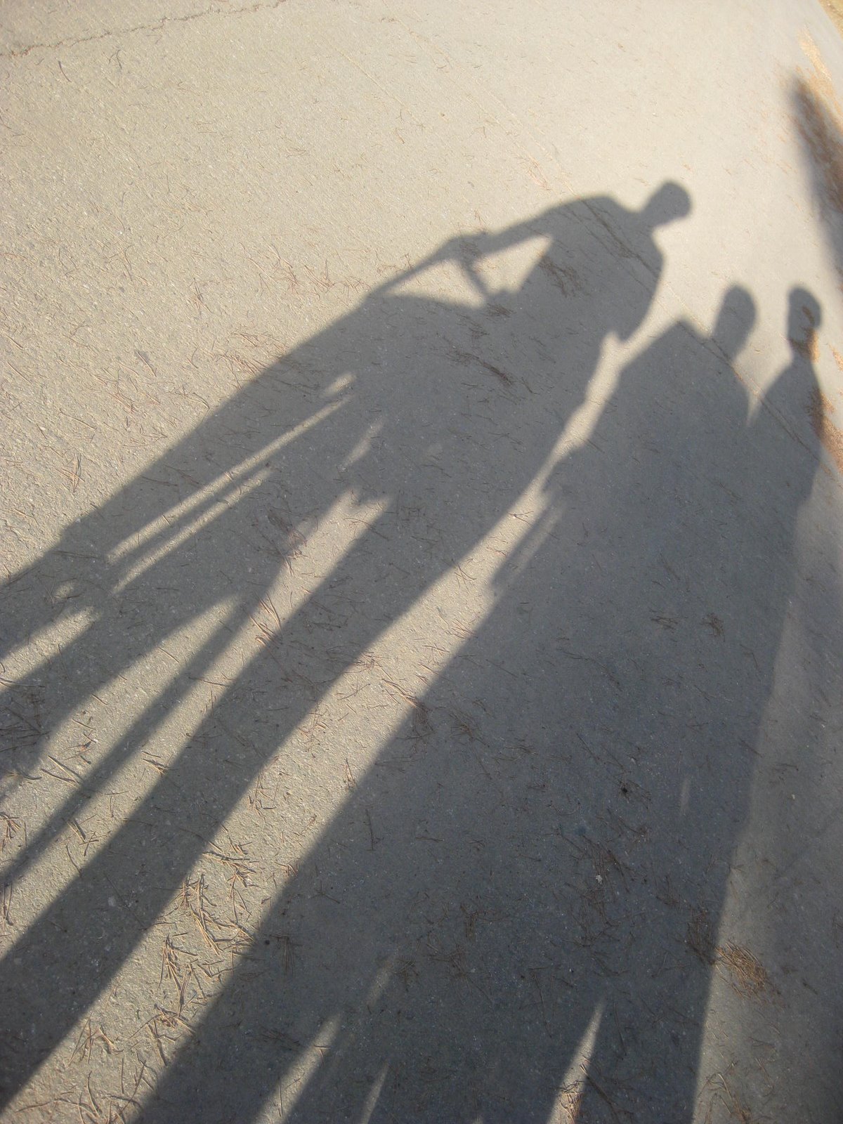 [IMG_1390.JPG]