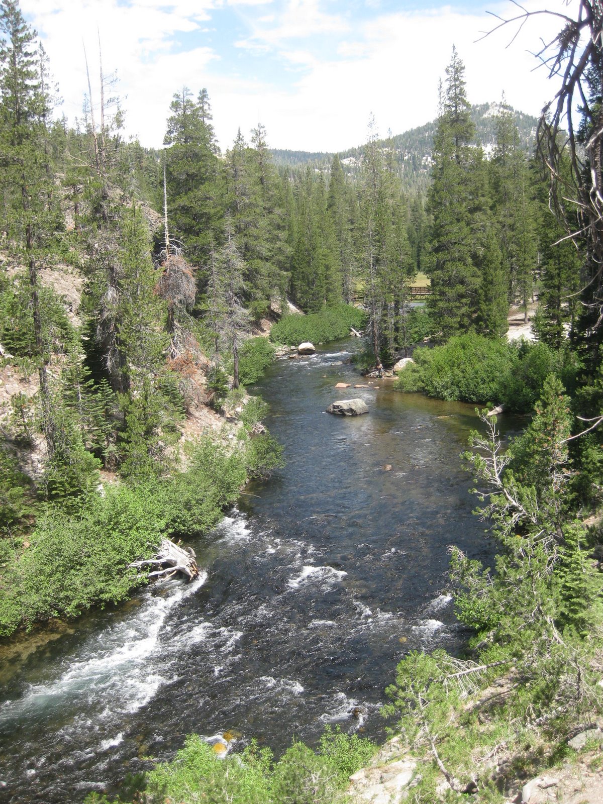 [IMG_2924.JPG]