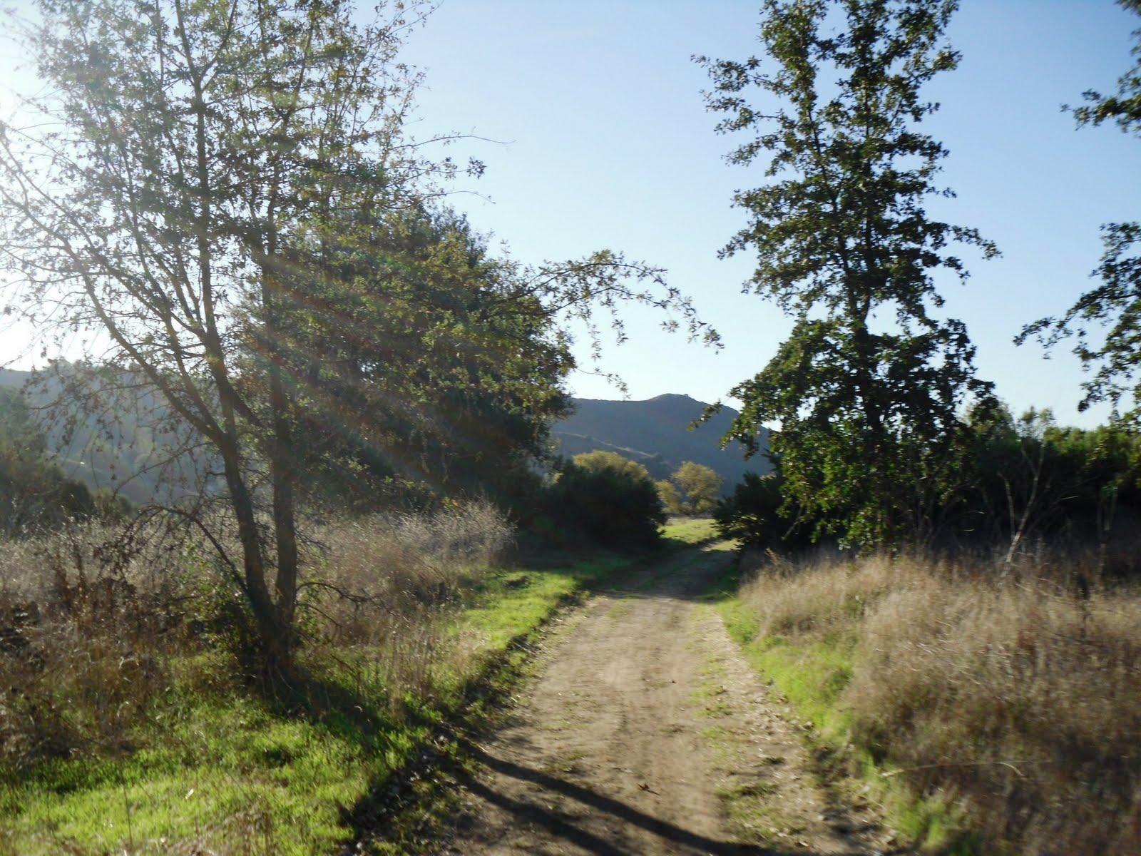 [SDC10595.JPG]