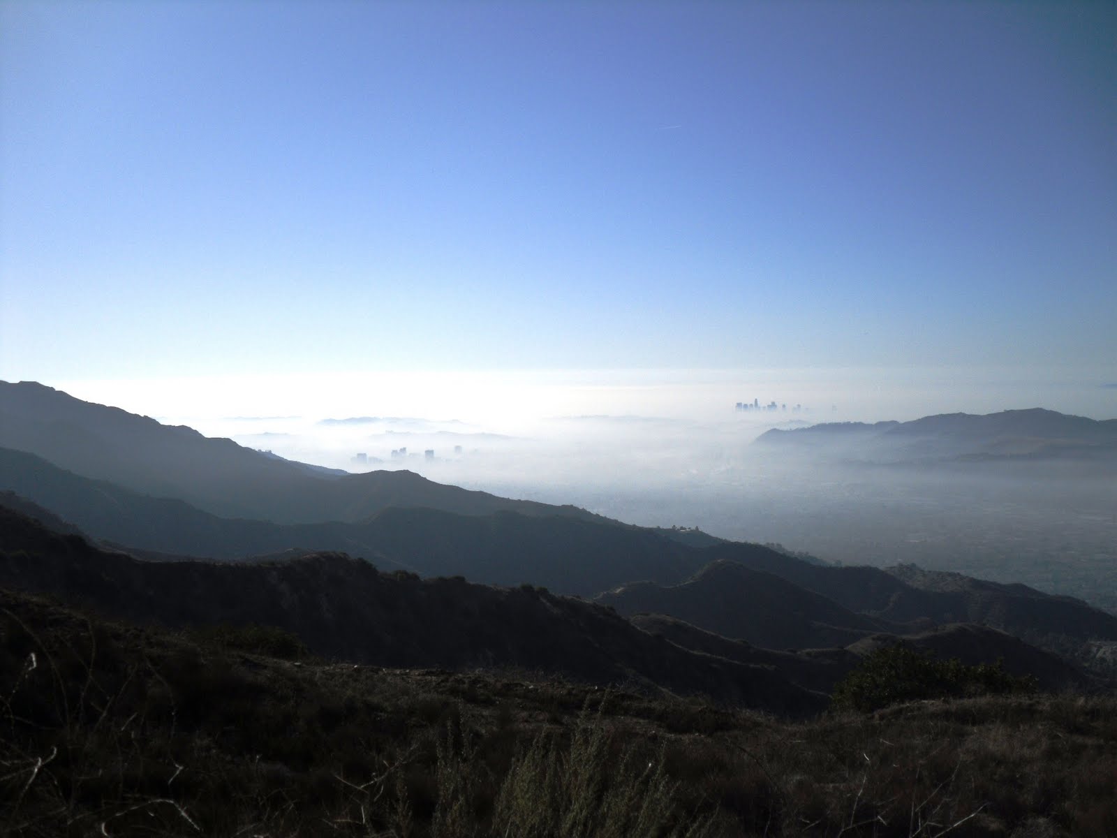 [SDC10443.JPG]