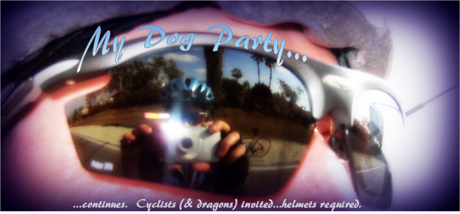 MyDogParty