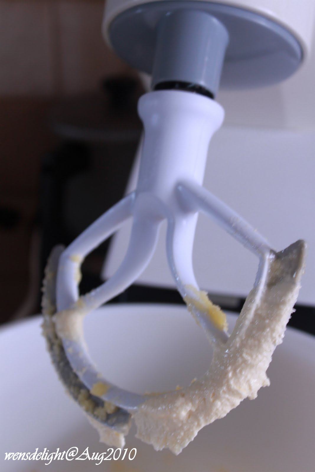 Wen's Delight Beater Blade