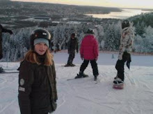 Skiing in Ulricehamn