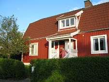 Our house and Elsa