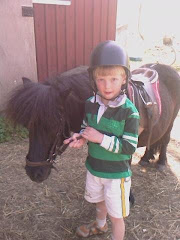 A new horsefan. Nils and Asterix!