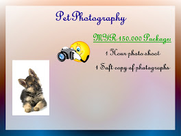 Pet Photography Packages (Home & Studio)