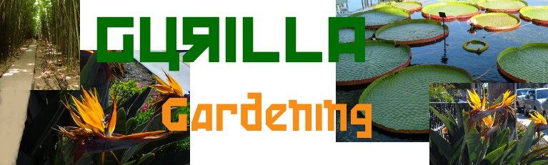 Gurilla Gardening