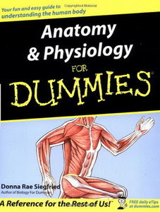Anatomy And Physiology Revealed 30 Download Free