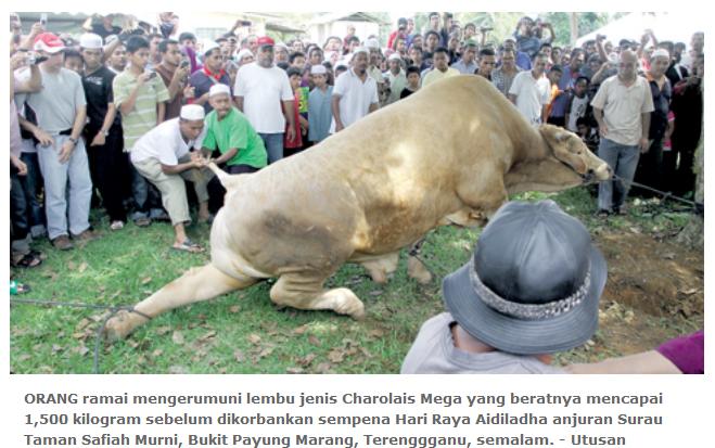 Direktori Penternak Kambing Lembu Malaysia Erti Korban Selamat Menyambut Hari Raya Korban