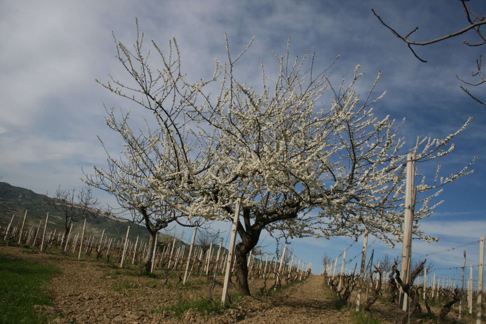 [IMG_0730.JPG]