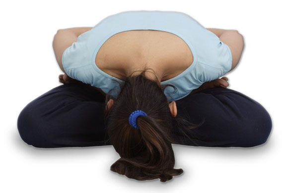 Yoga Postures Yogmudra Yoga Postures Yogmudra