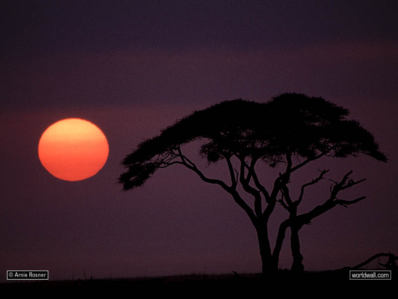 [AFSUNSET.JPG]