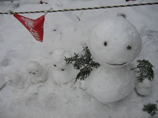 [20100307+031.jpg]