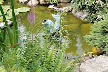 The Koi Pond