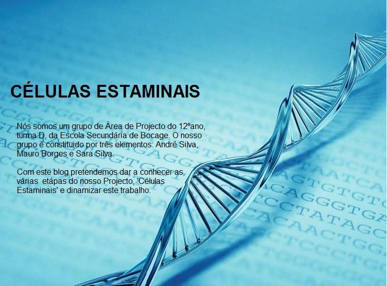 CÉLULAS ESTAMINAIS