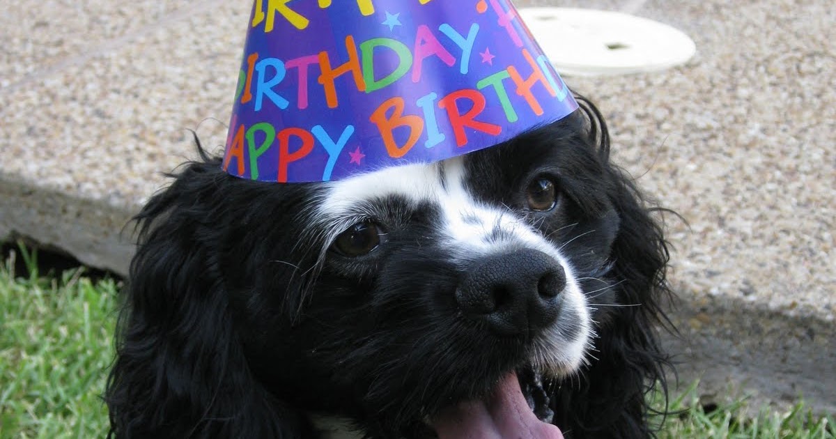 Adventures with Ashley: Happy Birthday, Harper!