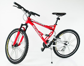 schwinn protocol 1.0 review