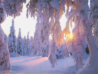 Wallpapers HD Winter Wallpapers HD Winter