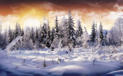 Wallpapers HD Winter Wallpapers HD Winter